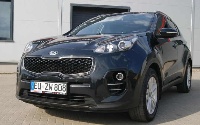 Kia Sportage cena 69500 przebieg: 184258, rok produkcji 2016 z Śmigiel małe 436